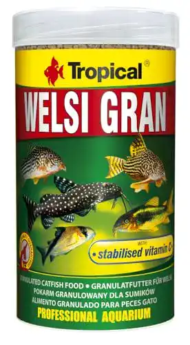 Welsfutter Tropical Welsi Gran Granulat für Bodenfressende Zierfische
