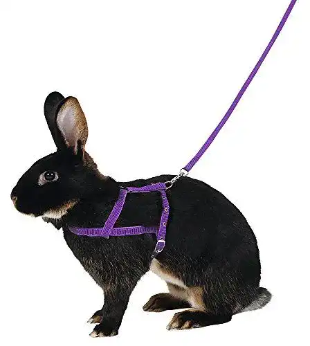 Kaninchengeschirr Kerbl Pet Schultergeschirr Agility mit 2m Leine