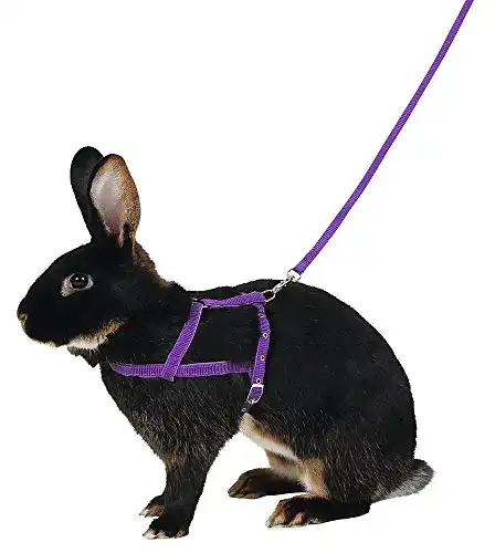 Kaninchengeschirr Kerbl Pet Schultergeschirr Agility mit 2m Leine
