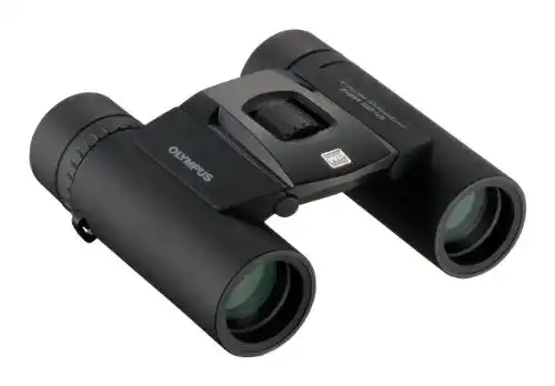 Olympus Fernglas OM System 10×25 WP II in Schwarz