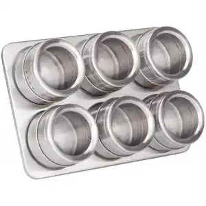 Magnetische Gewürzdosen Ricoo – Gewürzgläser im Set aus Edelstahl
