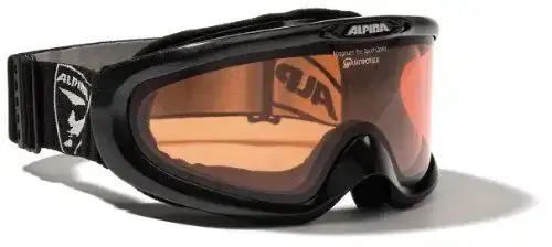 Skibrille für Brillenträger Alpina Magnum in Schwarz für Erwachsene