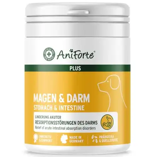 Darmsanierung für Hunde mit AniForte Magen & Darm Tabletten