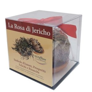 Rose von Jericho – Ecoclass Salaginella Lwpidophylla im Vergleich
