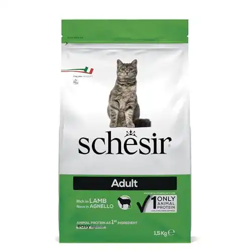 Schesir Cat Adult Maintenance Lamm Katzenfutter für erwachsene Katzen