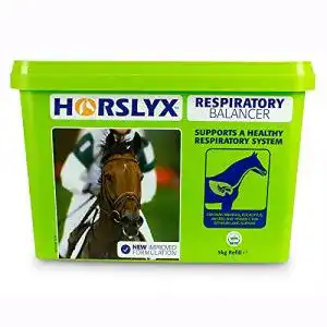 Mineralleckstein für Pferde Horslyx Respiratory 5 kg