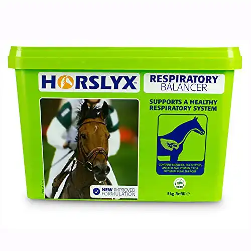 Mineralleckstein für Pferde Horslyx Respiratory 5 kg