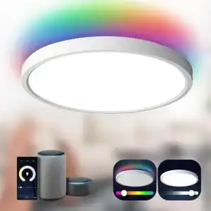 Smart Home Beleuchtung Antenlicht LED Deckenlampe 24W mit App Steuerung