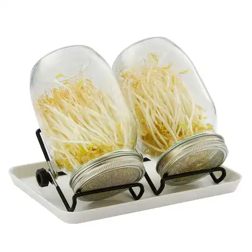 Sprossengläser SNADER 2X 950ml Set für Keimung und Sprossenanbau