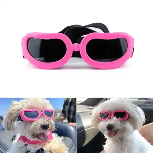 Hundebrille PETLESO für Hunde und Katzen mit UV-Schutz und Wasserdicht