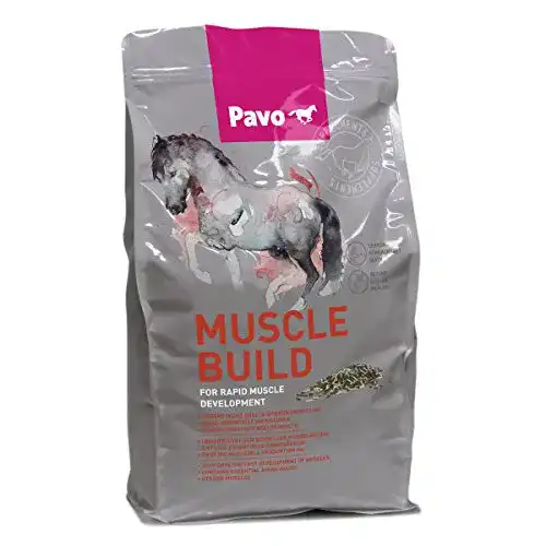 Pavo MuscleBuild Zusatzfutter für Muskelaufbau bei Pferden 3 kg