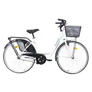 Hollandrad Denver Discovery Damenfahrrad mit Ein-Gang-Schaltung