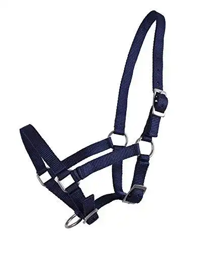 Fohlenhalfter QHP Jahrling aus Nylon mit individueller Verstellbarkeit