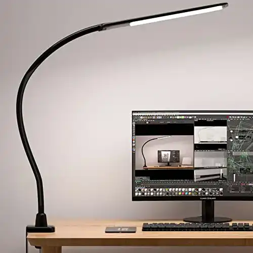 LED Schreibtischlampe Hokone mit Schwanenhals und Klemmbefestigung