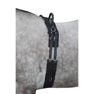 Longiergurt Hkm 12701 Canvas mit Doppelgriff für den Longierbedarf