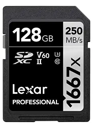 Lexar Professional 1667x SDXC Speicherkarte 128 GB