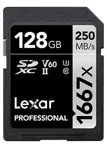 Lexar Professional 1667x SDXC Speicherkarte 128 GB