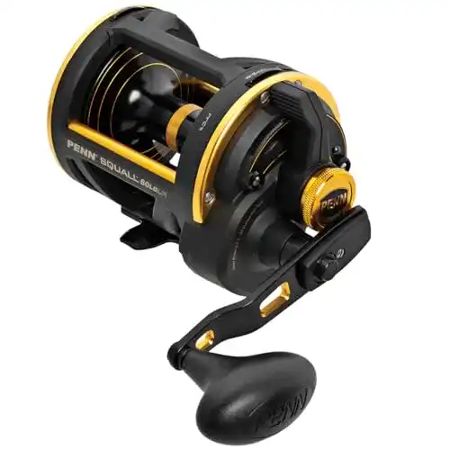 Multirolle Penn Squall Lever Drag 60 LD für Linkshänder