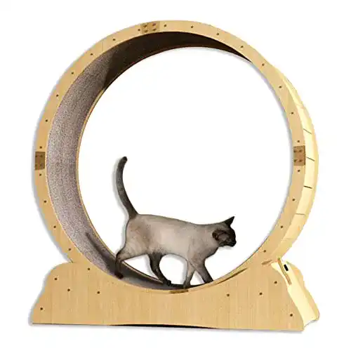 Katzenlaufrad C’estbon aus Holz für Katzen mit Austauschbarer Laufbahn
