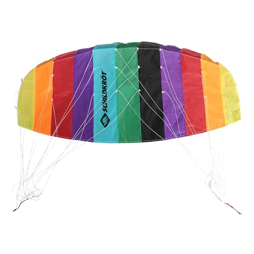 Lenkdrachen Schildkröt Dual Line Sport Kite – Zweileiner Lenkmatte