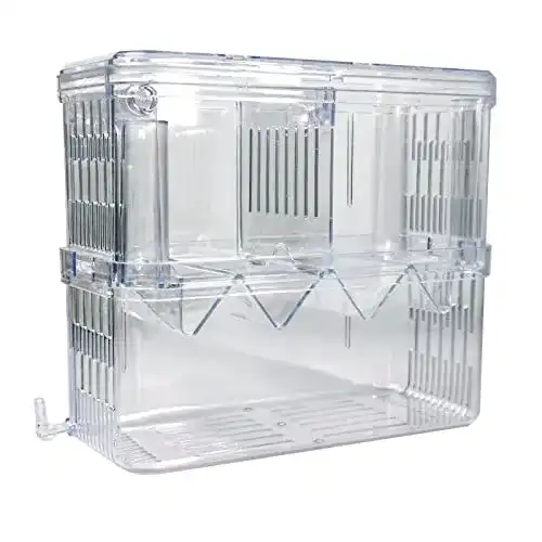 Fischzuchtbecken Gittcoll Acryl Zuchtbox für Aquarien