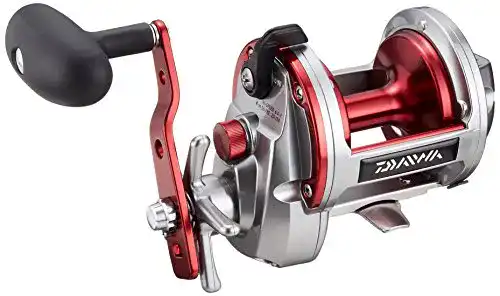 Multirolle mit Zählwerk Daiwa Sealine Ishidai 40H Entoh Rechts