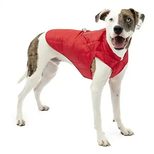 Hundemantel Kurgo Loft Hundejacke mit integrierbarem Hundegeschirr