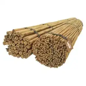 Bambusstäbe Set für Blumenstützen und Pflanzenstützen 120 cm 25 Stück