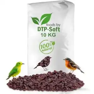 Rosinen für Vögel Dtp-Soft Vogelfutter – Ganzjähriges Wildvogelfutter