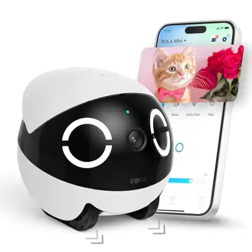 Haustierkamera Enabot Ebo ROLA Mini FamilyBot mit 2K Auflösung