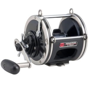 Penn Multirolle Senator Star Drag Big Game 9/0 115L2