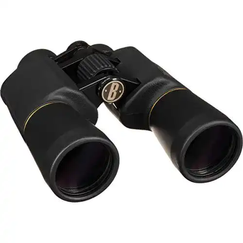 Bushnell Fernglas 10×50 Legacy Porro für Natur- und Tierbeobachtung