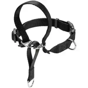 Erziehungshalsband Hunter Follow Me XL für Hundeerziehung