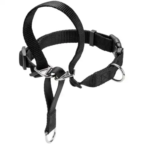 Erziehungshalsband Hunter Follow Me XL für Hundeerziehung
