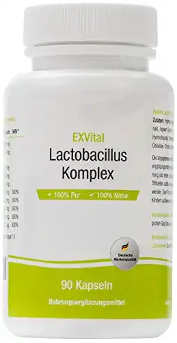 Probiotika EXVital Lactobacillus Komplex mit 10 Milliarden KBE