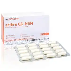 Gelenkkapseln von Amitamin Arthro GC mit MSM, Glucosamin und Chondroitin