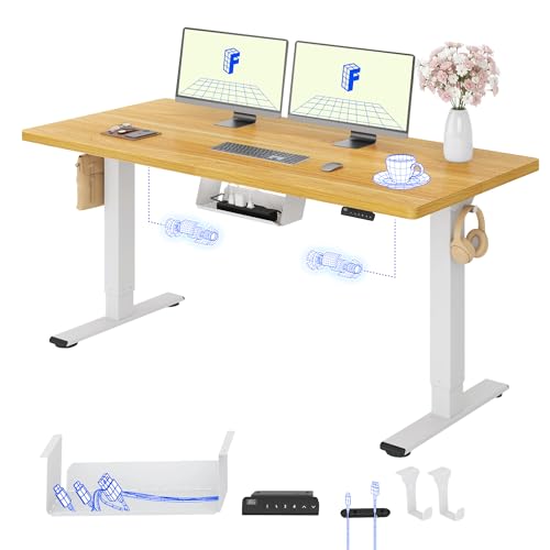 Höhenverstellbarer Schreibtisch von Flexispot mit Doppelmotoren