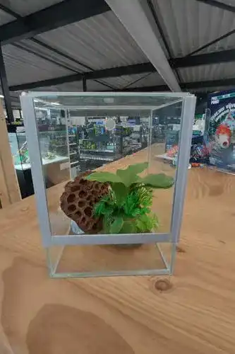 Terrarium Diversa Glas 15x15x20 mit Falltür