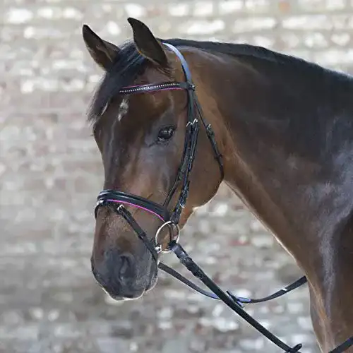 Trensenzaum Waldhausen Star Diamond für Pferde