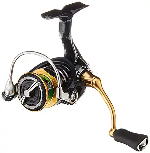 Daiwa Exceler LT 1000D Spinnrolle für das Spinnfischen