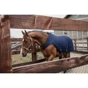 Führanlagendecke Kentucky Walker Rug 160 g in der Größe 140 und Farbe Navy