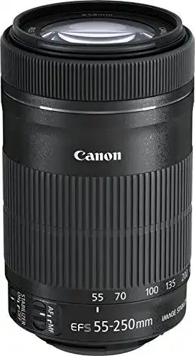 Canon EF-S 55-250mm 1:4-5.6 IS STM Tele-Zoomobjektiv