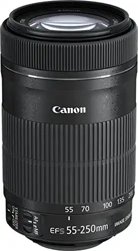 Canon EF-S 55-250mm 1:4-5.6 IS STM Tele-Zoomobjektiv