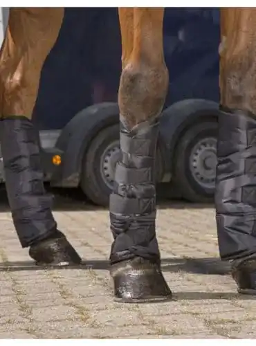 Transportgamasche Ekkia niedrig schwarz für Warmblutpferde