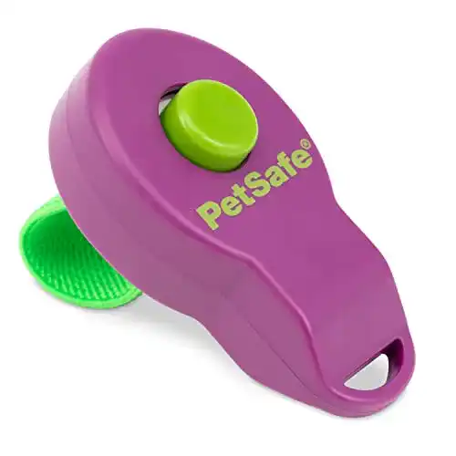 PetSafe Clik-R Trainingstool für Hundeerziehung und Training