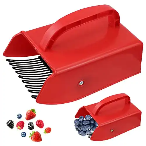 Beerenkamm KOUHA Beerenpflücker für Heidelbeeren und Johannisbeeren