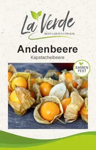 Physalis-Samen für Andenbeeren – La Verde