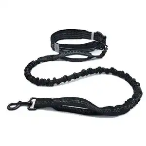 Hunde-Joggingleine mit Gürteltasche für aktives Hundetraining