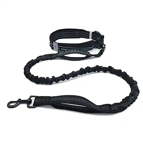 Hunde-Joggingleine mit Gürteltasche für aktives Hundetraining