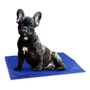 Kühlmatte für Hunde und Katzen von Navaris – Selbstkühlende Matte 40x50cm